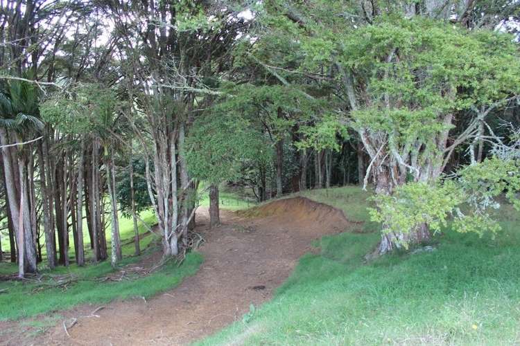 Pipiwai Road Ruatangata_17