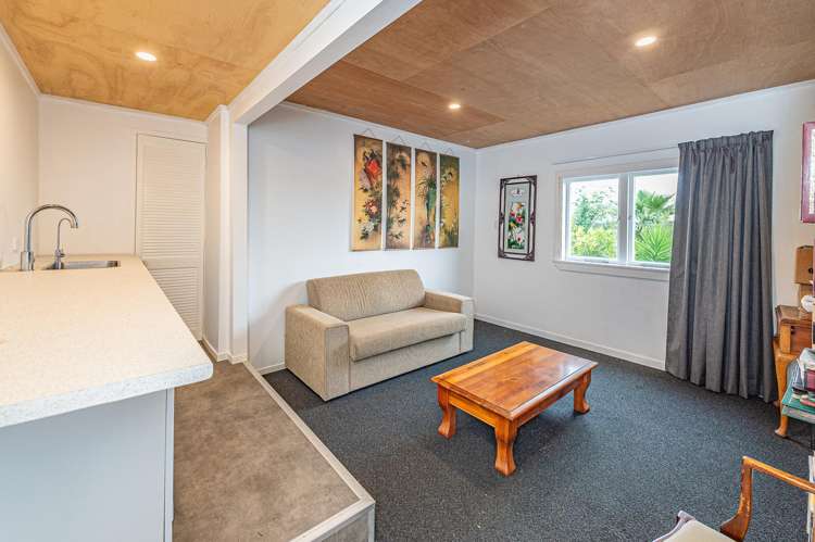 46 Mount View Road Bastia Hill_23
