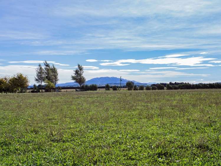 137 Smiths Road Leithfield_19