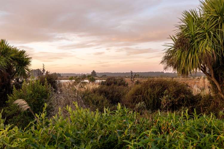 26 Pegasus Main Street Pegasus_22