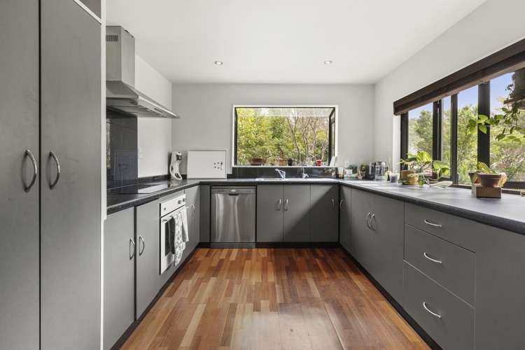 5 Colorado Grove Brooklyn_11