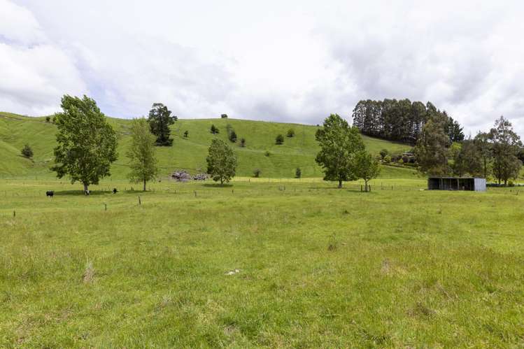 227 Whangamata Road Kinloch_12