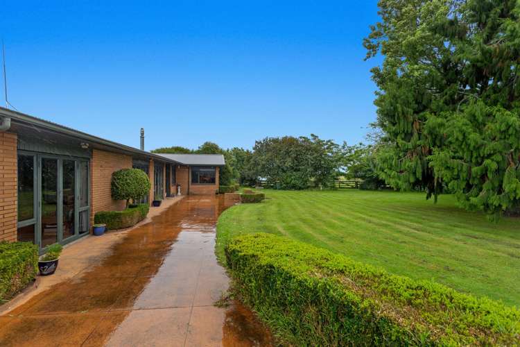 89 Mccracken Road Edgecumbe_28