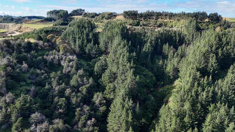 Rangitatau West Road Waitotara_9