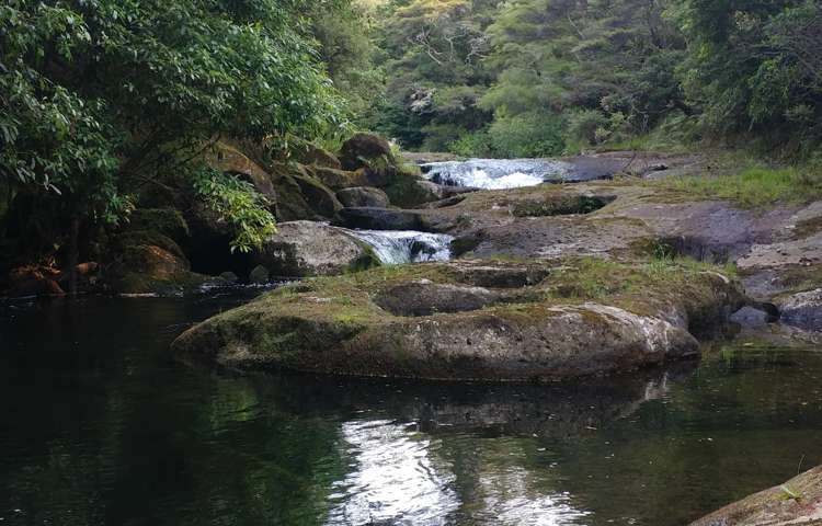 210 Wainui South Road Whakamarama_23