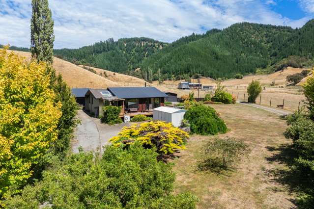 407 Onamalutu Road Wairau Valley_2