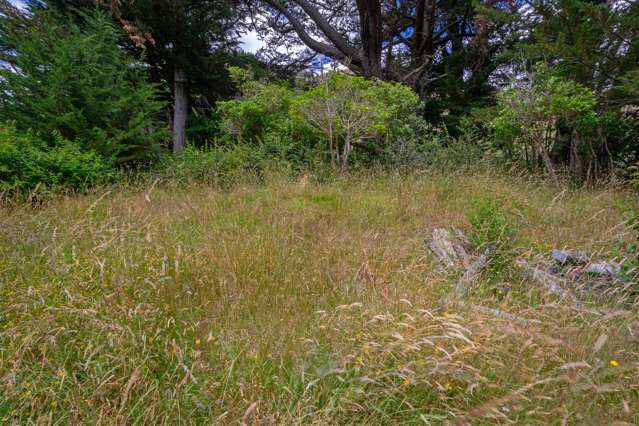 Wakamarina Road Havelock_3