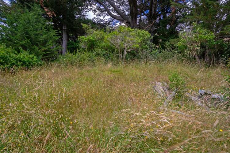 Wakamarina Road Havelock_3