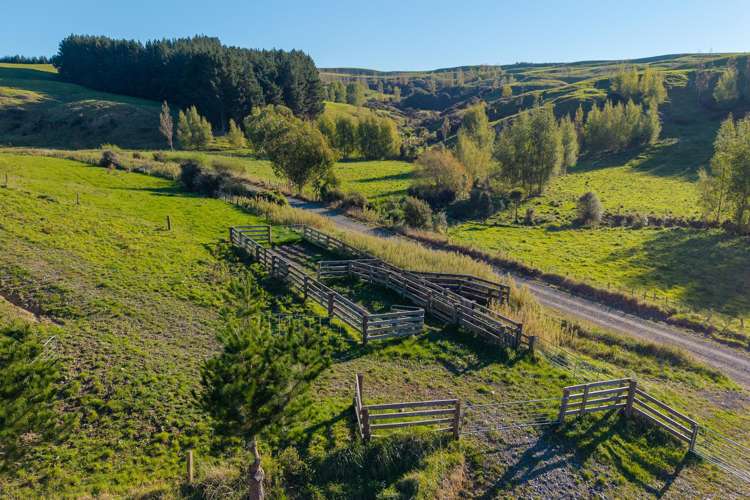 Ridge Road North Pahiatua_18