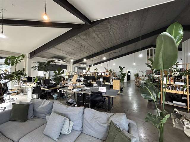 21 Scanlan Street Grey Lynn_3