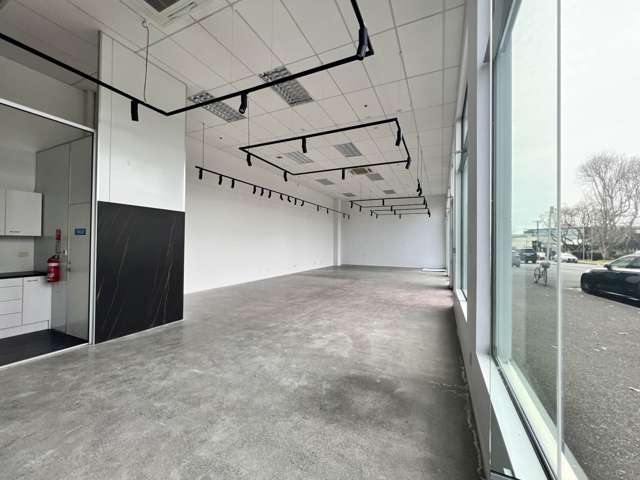 14 Normanby Road Mt Eden_2