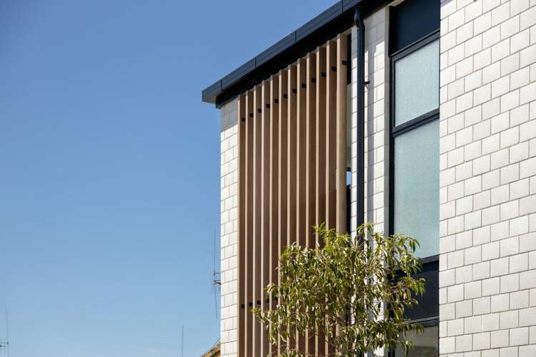 11/1460 Cameron Road Greerton_12