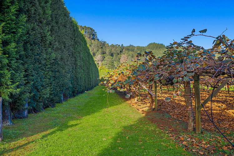 32 Gooseberry Grove Pauanui_3