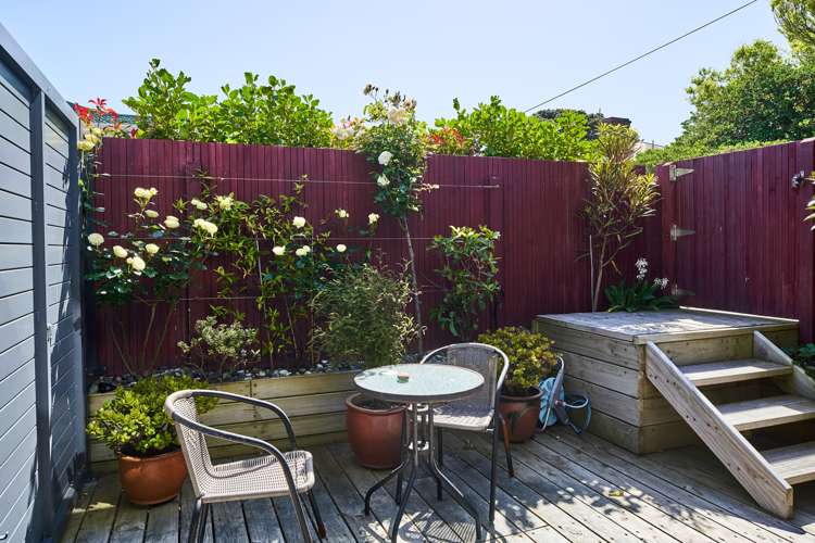 50a Steyne Avenue Plimmerton_18