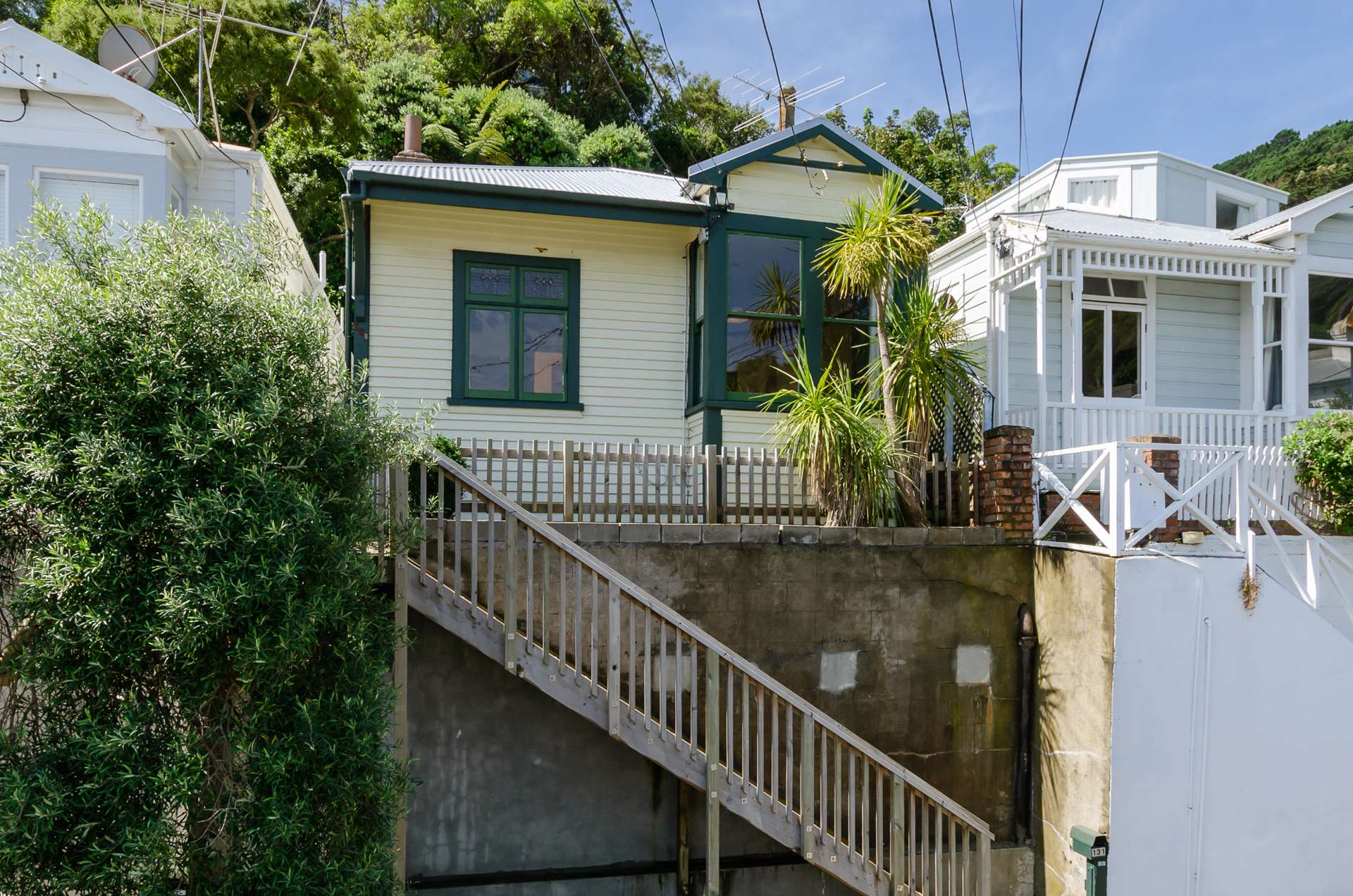 131 Elizabeth Street Mount Victoria_0