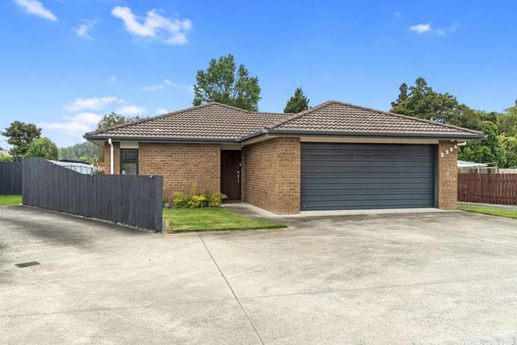 250A Mangapiko Street Te Awamutu_24