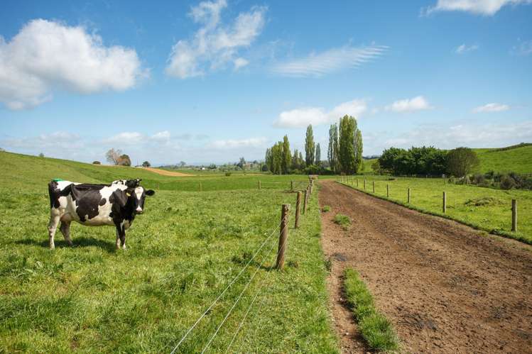 220 Waiomou Road, Okoroire Tirau_13