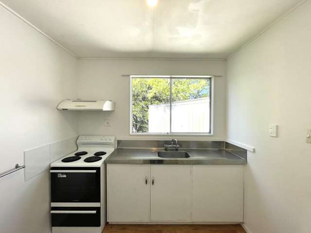 48a Logie Street 1350_3