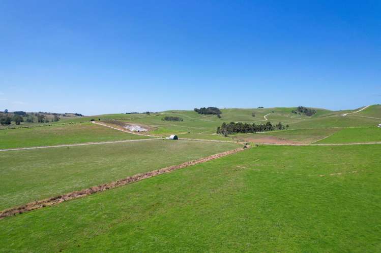 77 Molloy Road Ruawai_19