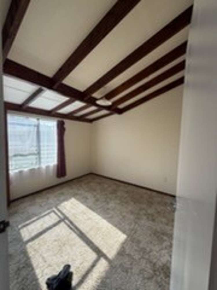 1 Solander Street Tolaga Bay_1
