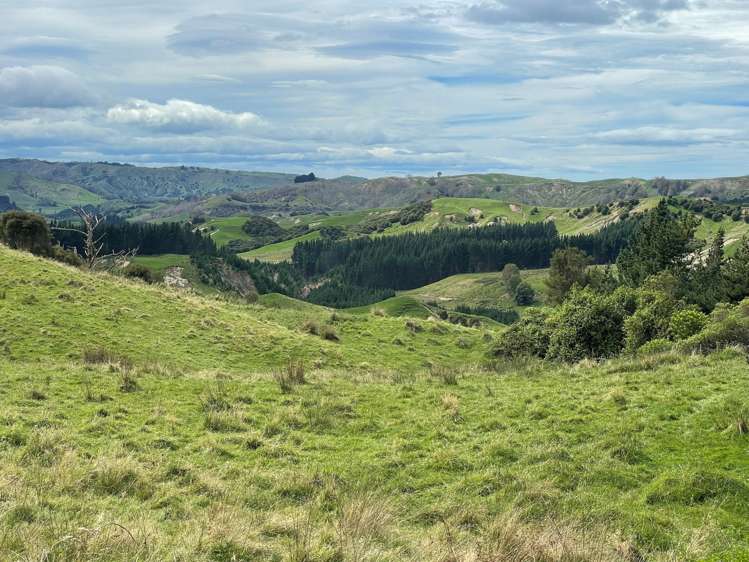643 Glengarry Road Puketapu_21