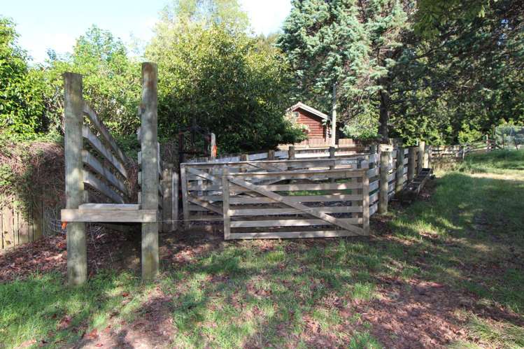 510 Smedley Road Tikokino_27