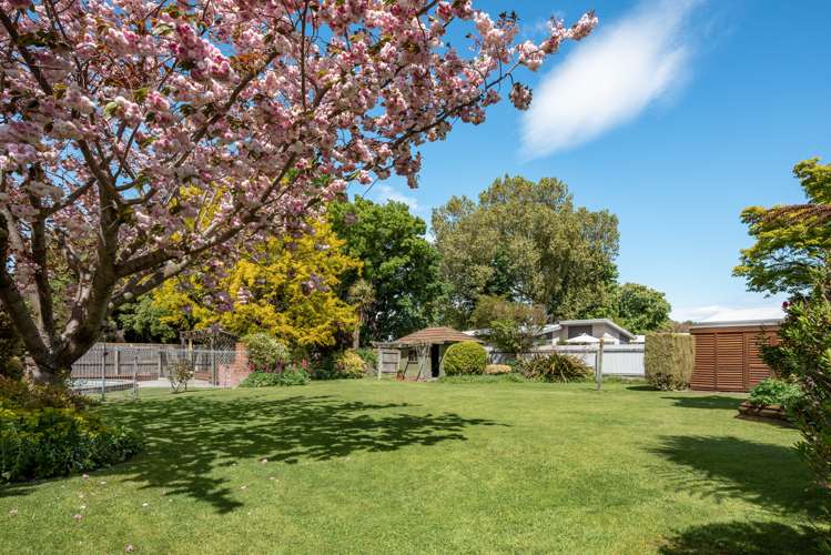 23 Ward Street Springlands_16