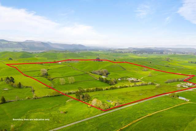 Pukeko Place - productive 97-hectare dairy farm