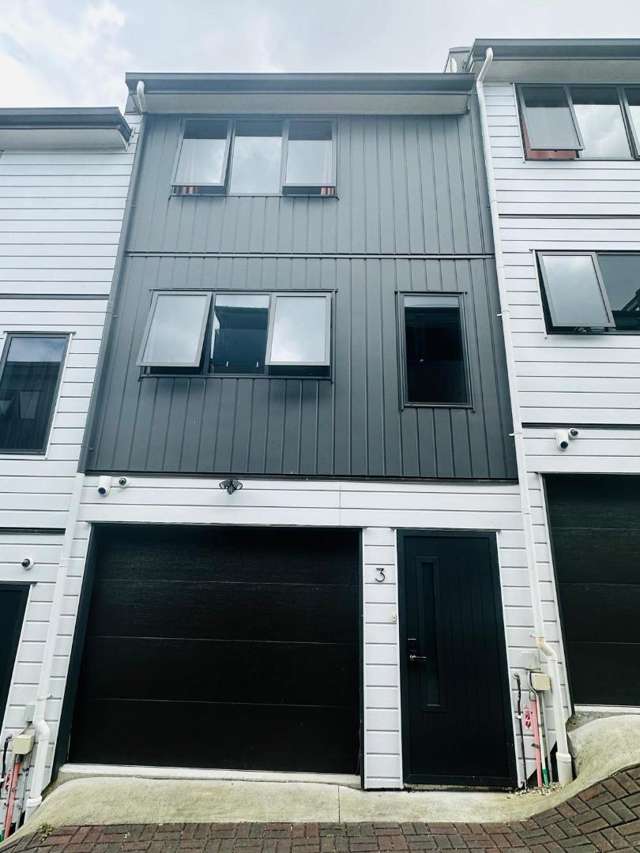 Central Auckland Living â In Zone for Mt Roskill Grammar