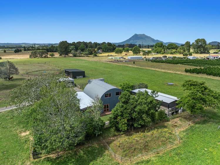 323B Hallett Road Otakiri_20
