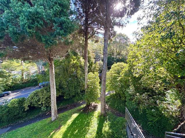 6/146 Glenmore Street Kelburn_1