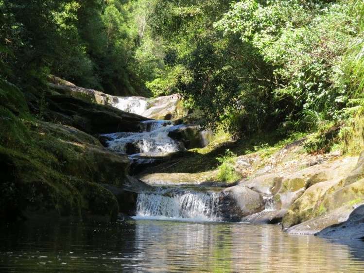 764 Work Road Whakamarama_0