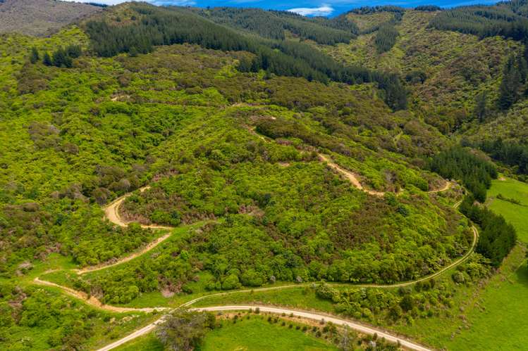 349 Anakiwa Road Anakiwa and Surrounds_11