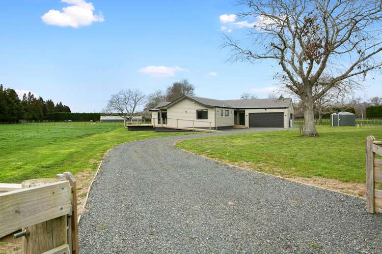 14 Pukerimu Lane Cambridge_6