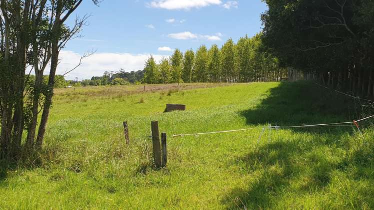 237 Hewlett Road Mata_26