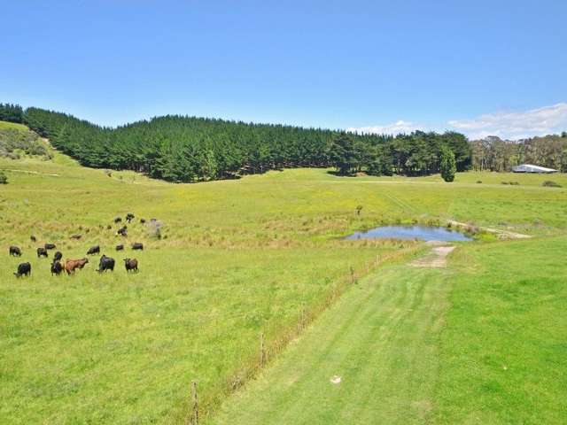 100 Castle Hill Road Eketahuna_1