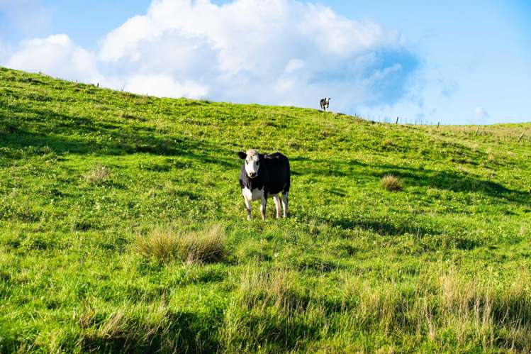 23A Kaitara Lane Kaiwaka_20