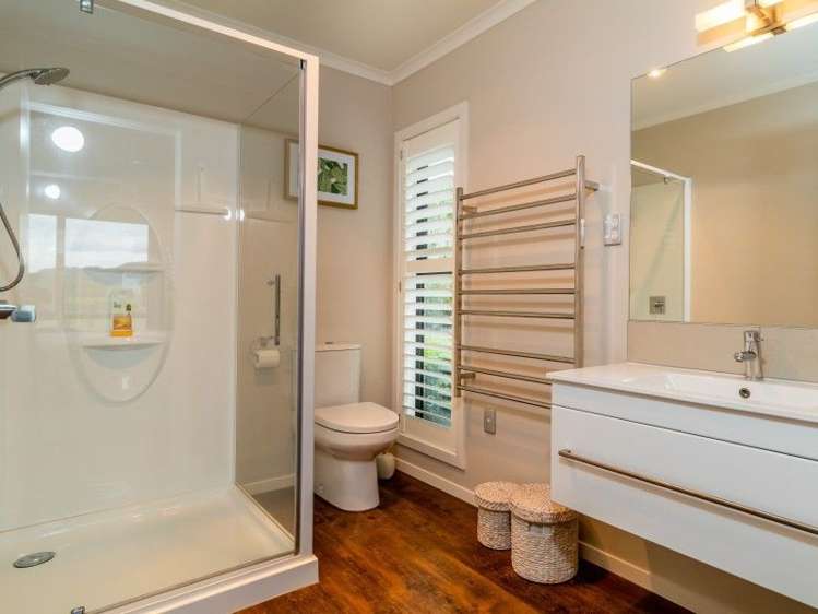 491 Dartmoor Road Puketapu_13