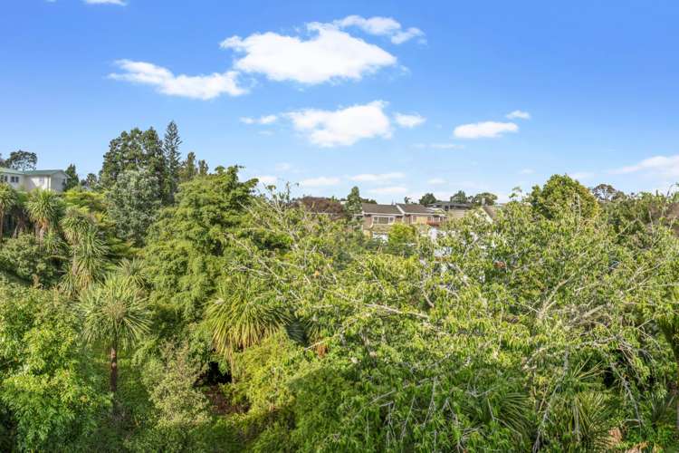 2/22a Tomo Street New Lynn_13