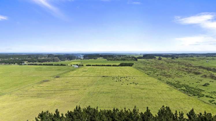 Santoft Road Bulls_5