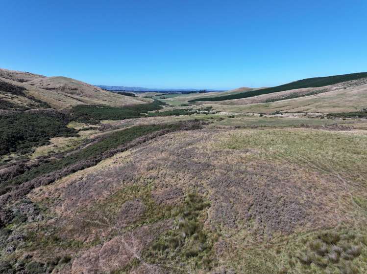 201 Sheepwash Creek Road Ardlussa_13
