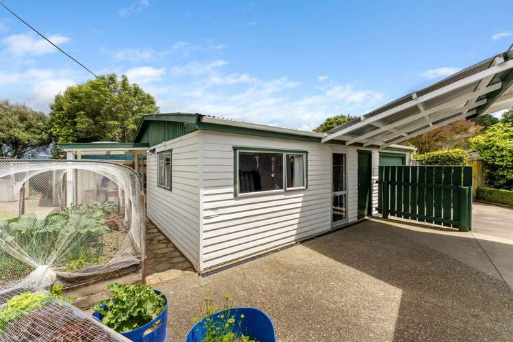 28 Hanlon Road Ashhurst_21
