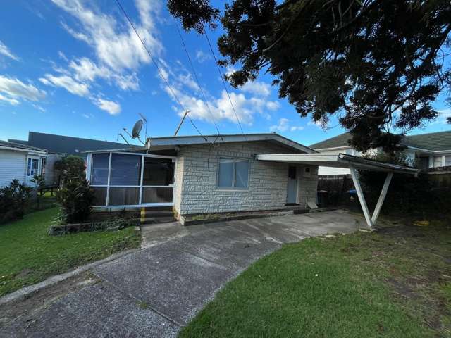 47 Marion Ave Mount Roskill_1