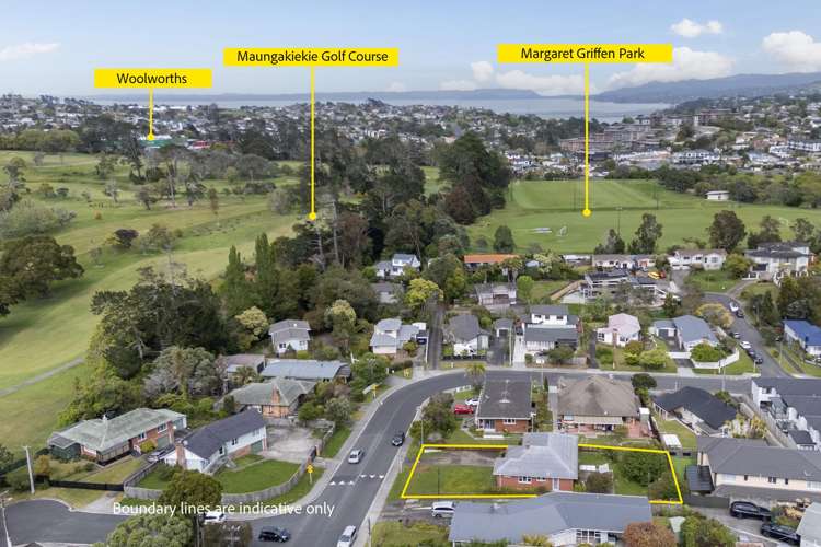 71 Penney Avenue Mount Roskill_20