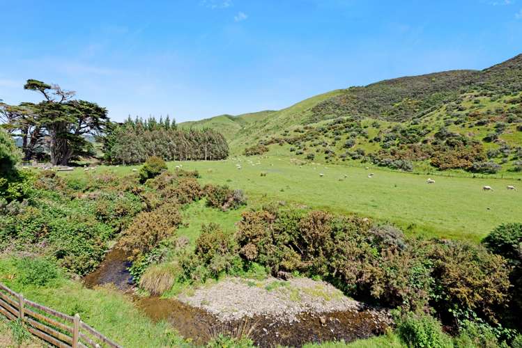 60 South Makara Road Makara_30