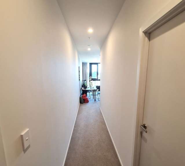 604A/123 Taranaki Street Te Aro_1