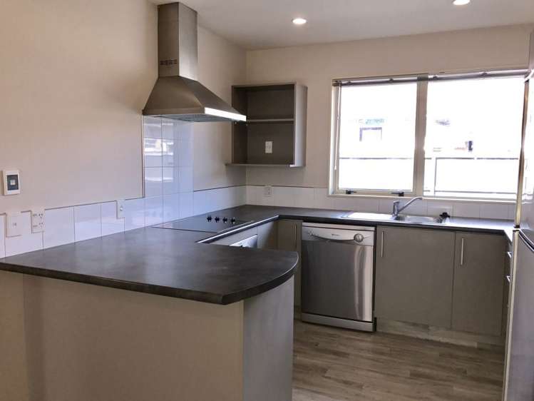 251b Main North Road Redwood_5