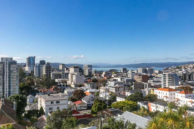 6 Maarama Crescent Aro Valley_3