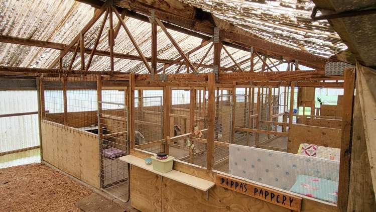 76 Wings Line Marton_22