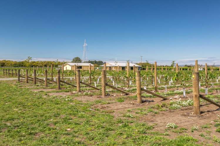 101 Flaxmill Drive Rarangi_26